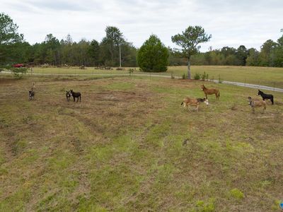 232 Kenny Clay Rd, Somerville, AL, 35670