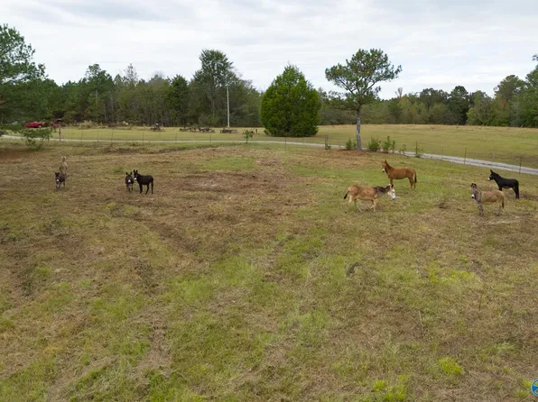 232 Kenny Clay Rd, Somerville, AL 35670