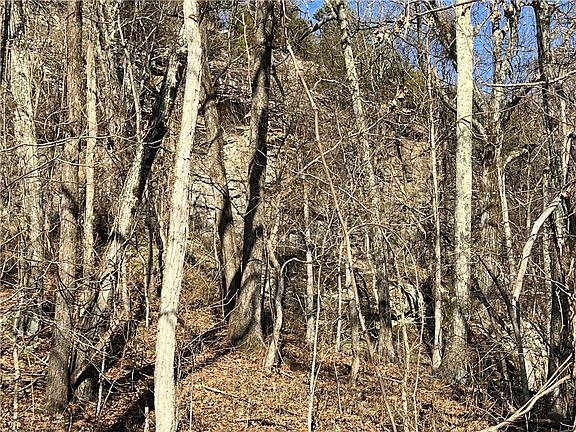 5th image of Terrapin Rd