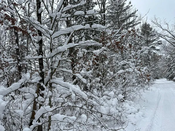 2836 W Marquette Circle Dr, Baldwin, MI 49304