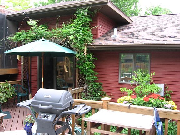 Summer in Backyard