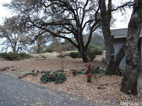 4th image of 4540 Holly Dr