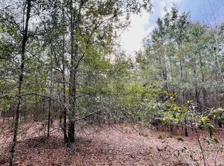 0 NW 85th St, Bell, FL 32619