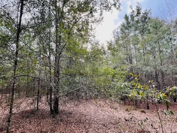 0 NW 85th St, Bell, FL 32619