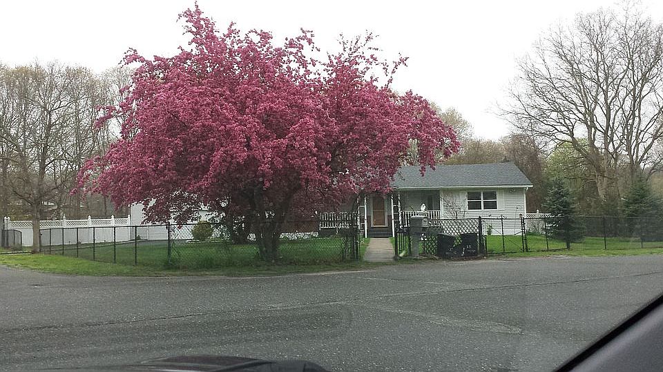 1st image of 33 Winston Dr