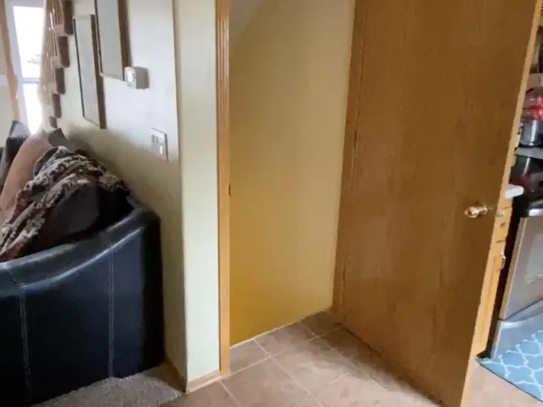 Basement door and stairs