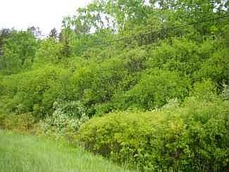 1st image of 00 Glenburnie Road