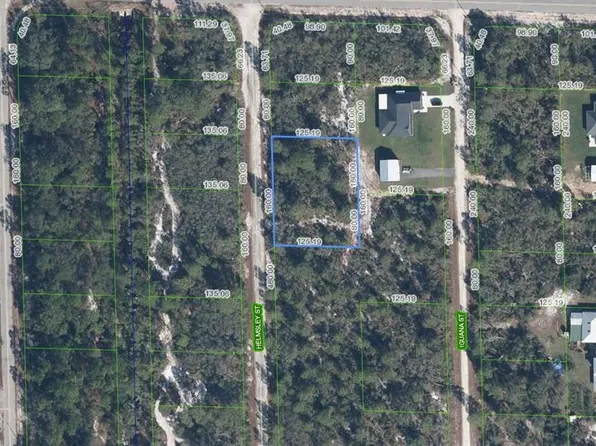 1059 Helmsley St Lot 19, Lake Placid, FL 33852