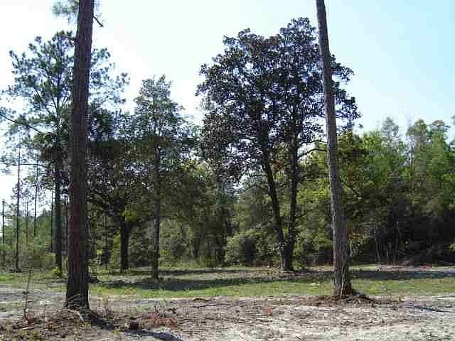 1st image of Xx Crawfordville Hwy