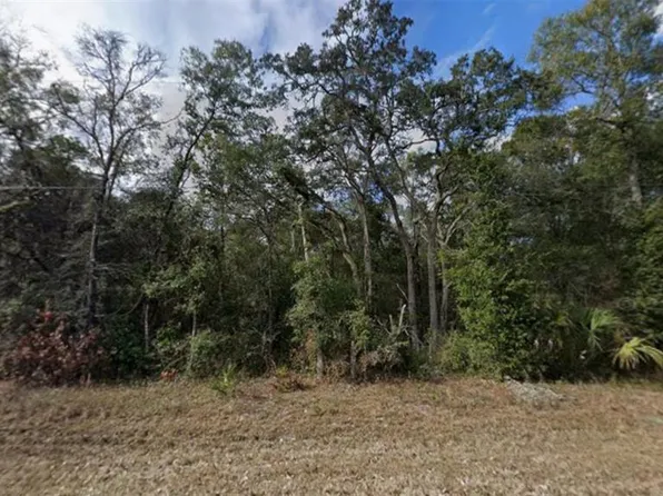 NW 85TH AVENUE LOT 2, CHIEFLAND, FL 32626
