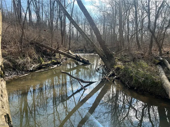 Whitehead Rd, Lagrange, OH 44050