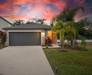 921 Fennel Seed Way, Ruskin, FL, 33570