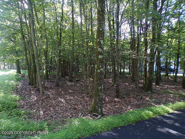 Liii712 Juniper Ln photo 1