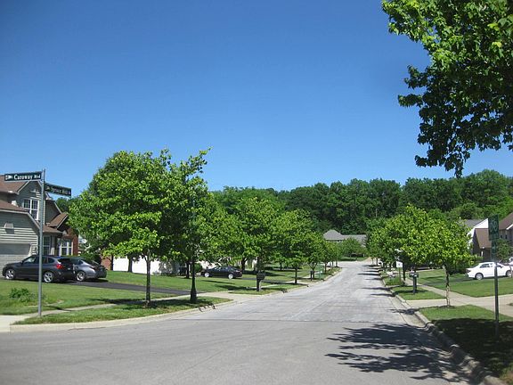 5th image of 1117 Caroway Blvd
