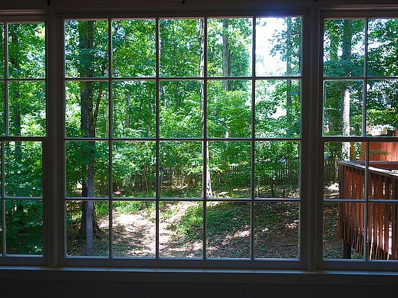 View from Family Room