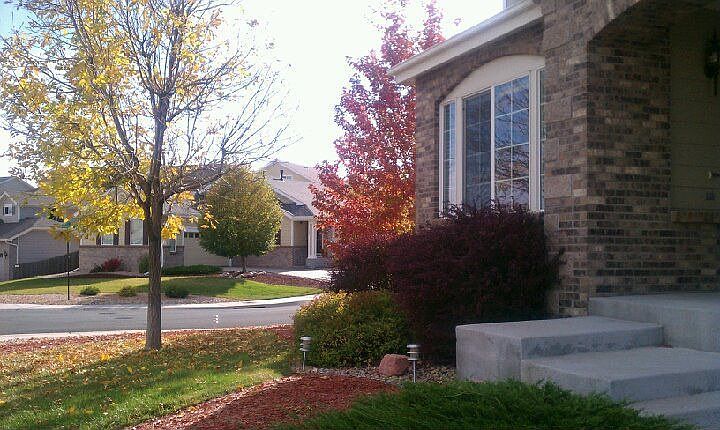 Fall Colours