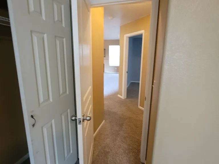 7323 Bentwater Dr — Photo 11