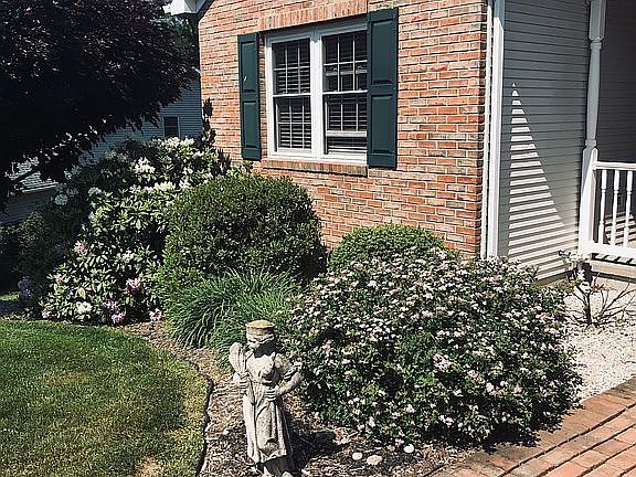 Brick walk. Mature plants
