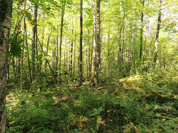 xxx County Hwy C, Washburn, WI 54891