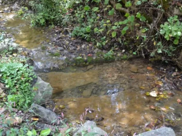 1028AC Campbell Hill Rd, Gainesboro, TN 38562