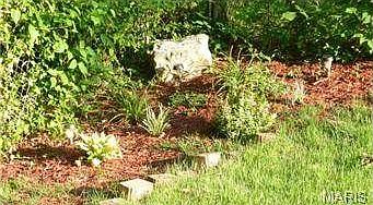 rear backyard