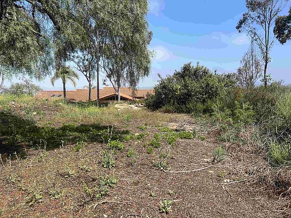 4th image of Washingtonia Dr #30