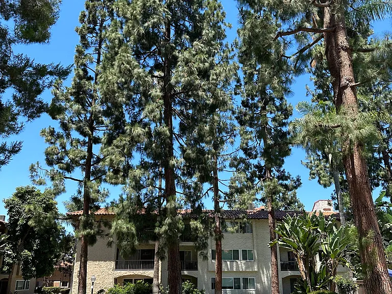 10797 San Diego Mission Rd — Photo 30