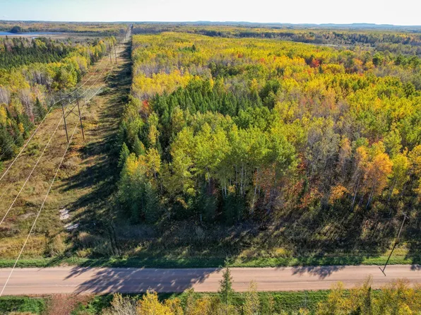 Tbd County Road 536, Nashwauk, MN 55769