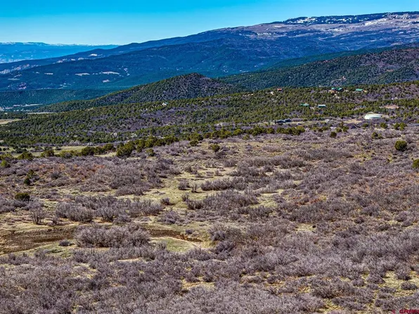 Lot 23 Highway 65, Cedaredge, CO 81413