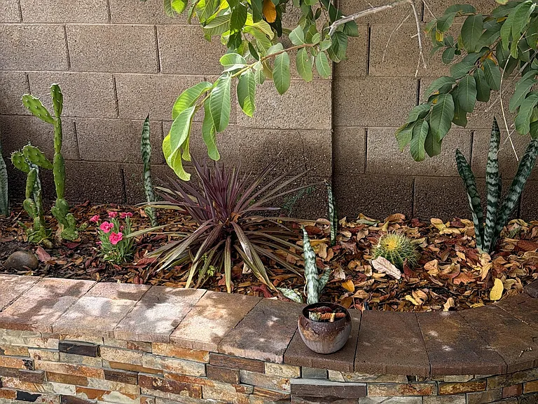 4209 E Rock Wren Rd — Photo 18