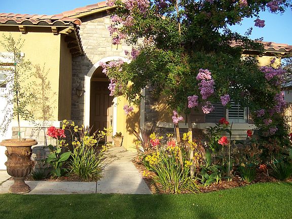 Front of Home (Last Spring)