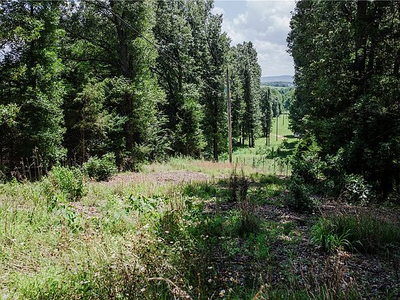 2nd image of 238 County Road 729
