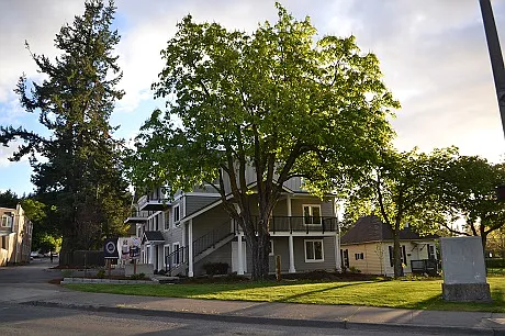 4 bed, 2 bath spacious apartment for rent Sept 2026 - first month free! — Photo 2