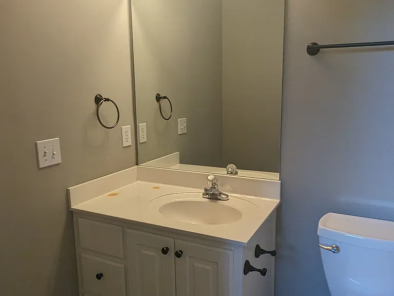 313 Coales Branch Cir — Photo 21