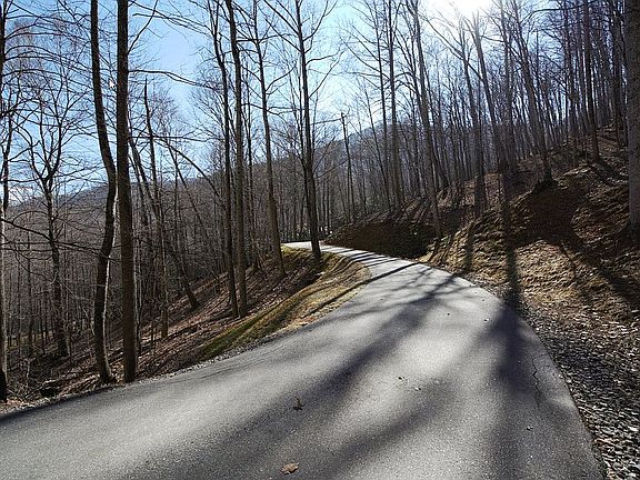 2nd image of Cove At Celo Mountain Lot 5
