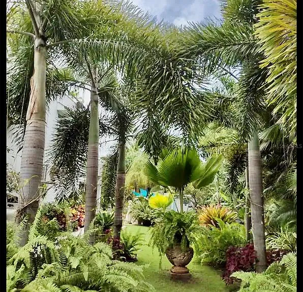 0 Albacora — Photo 39