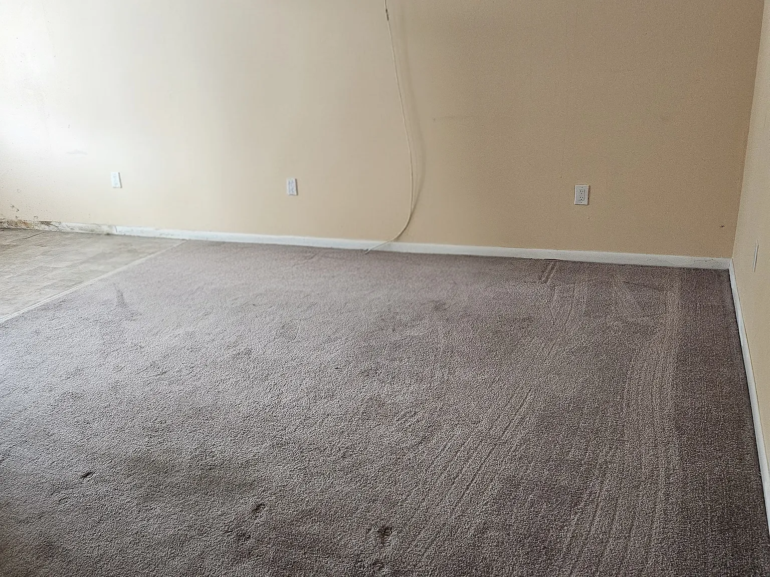 1 bed, $1,650 — Photo 3