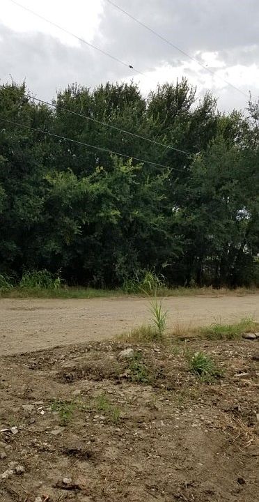 1st image of Mulberry Dr