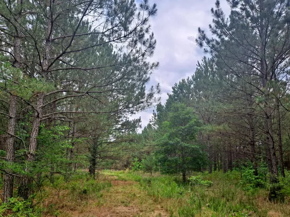 Duncan Rd, Nauvoo, AL 35578