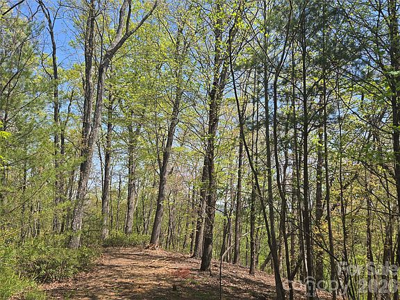 3rd image of 36 Turkey Fall Ln