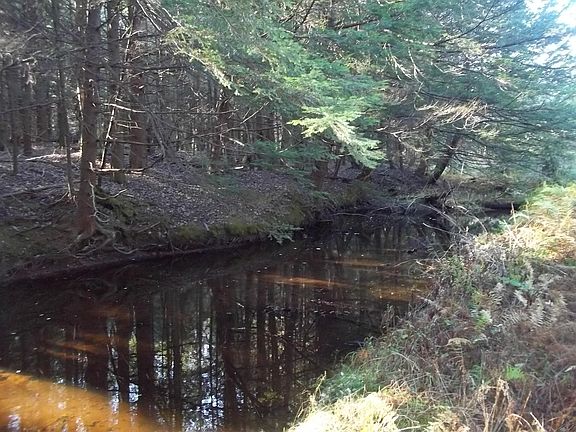 3rd image of 270 Browns Pond Road