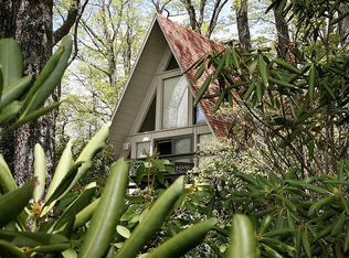 134 Big Ridge Ct, Burnsville, NC 28714