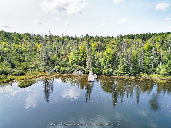 4th image of 315 Scarlett Rd