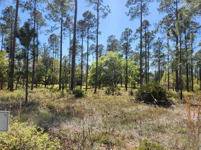0 Breakaway Gap Rd, Tallahassee, FL, 32305