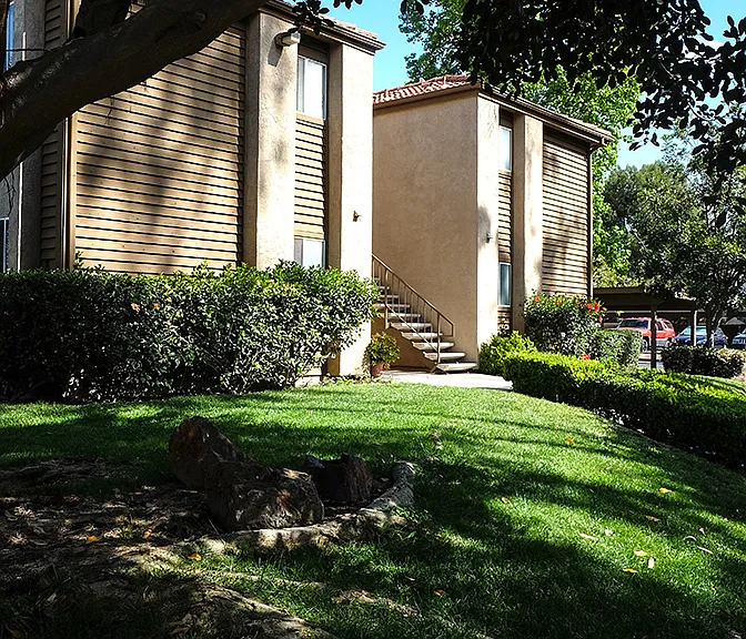 Shadowridge Summerwind — Photo 13