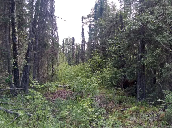 14272 E Wilderness Rim Rd, Willow, AK 99688
