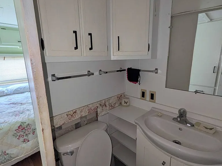28513 S Palm Court Dr #77 — Photo 9