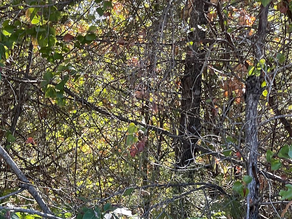 2nd image of Moore Rd