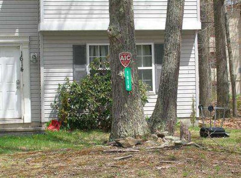 2nd image of 3312 Cotswold Rd