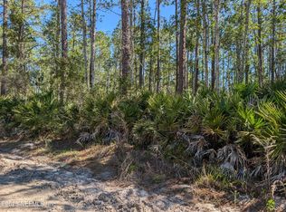 LOT 36 Dines Ave, Interlachen, FL 32148